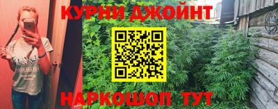 прущие крисы Краснознаменск