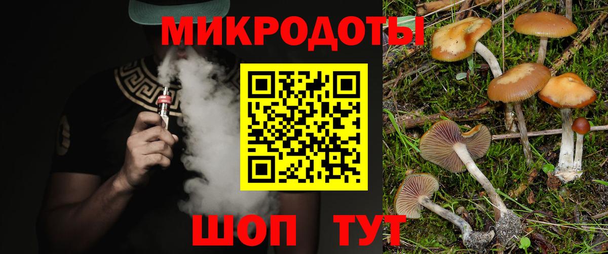 Псилоцибиновые грибы Cubensis  что такое   Галлюциногенные грибы ЛСД  Дубна  Вход с VPN 